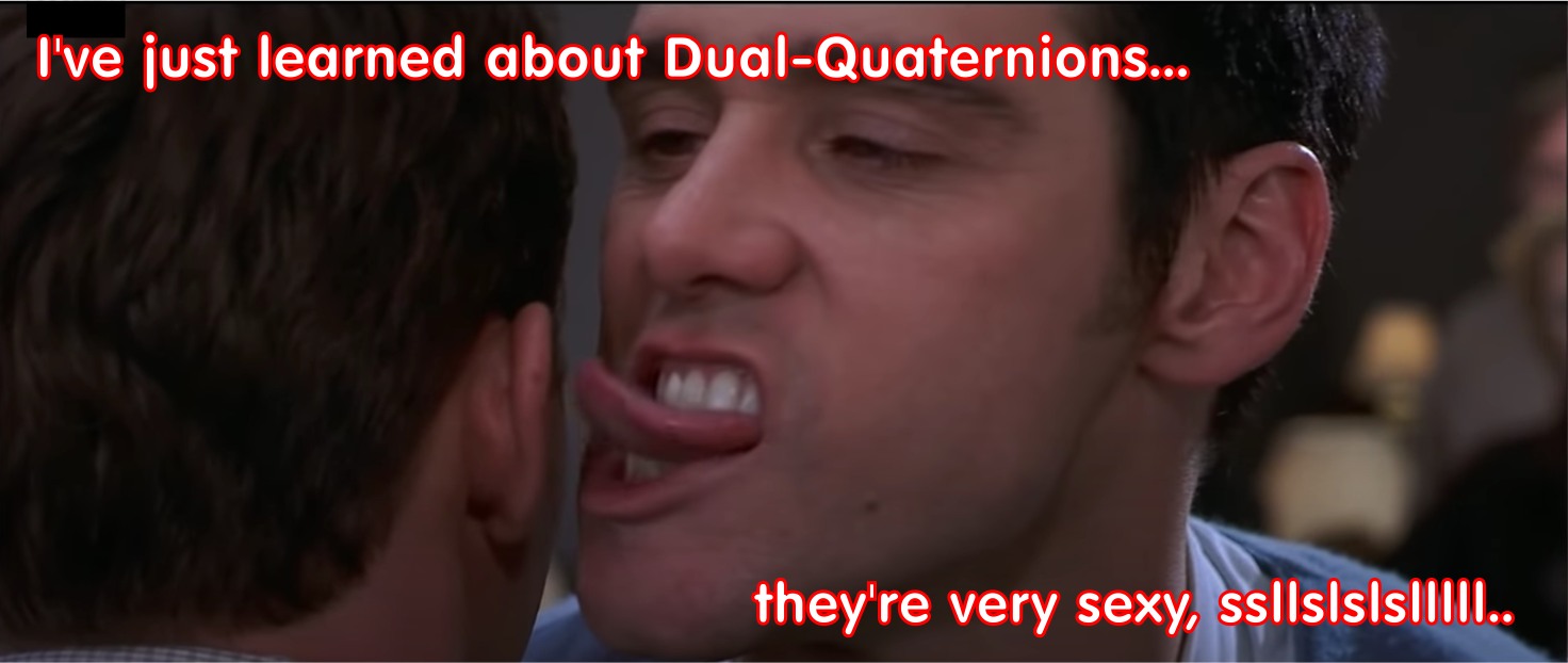 dual-quaternions are sexy