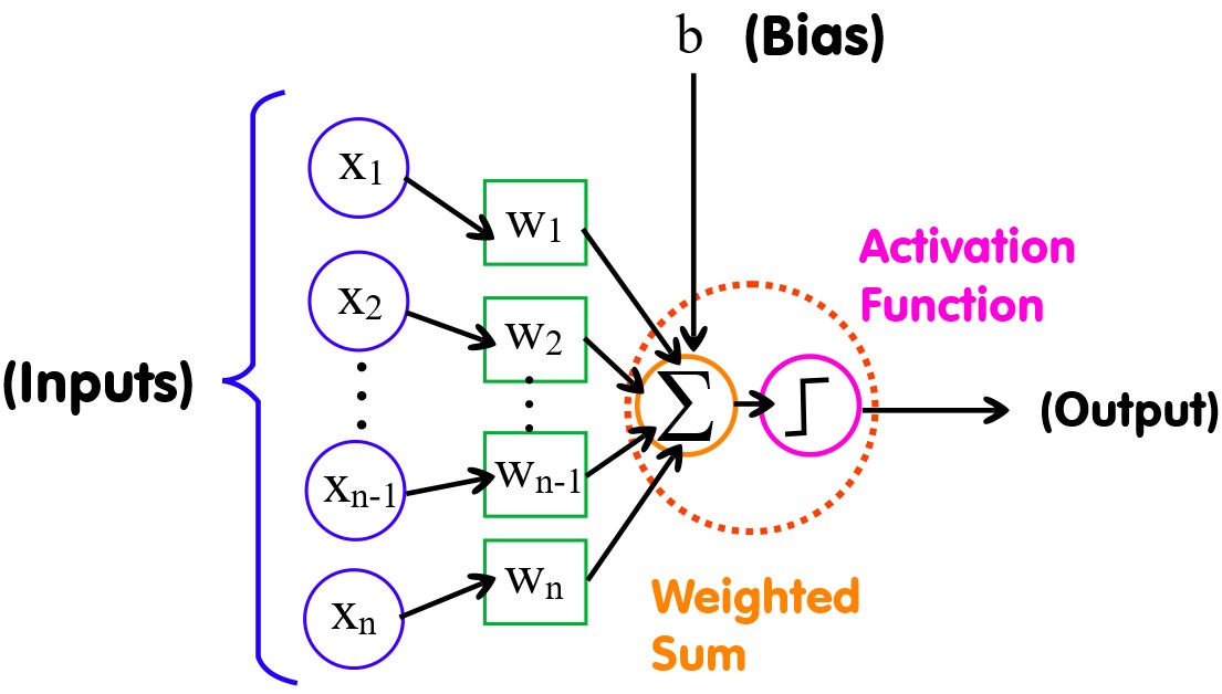 Single Perceptron